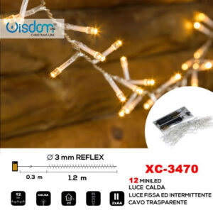Catena 12 Led A Batteria Cavo Trasparente Luce Calda Fissa+intermittente Xc-3470
