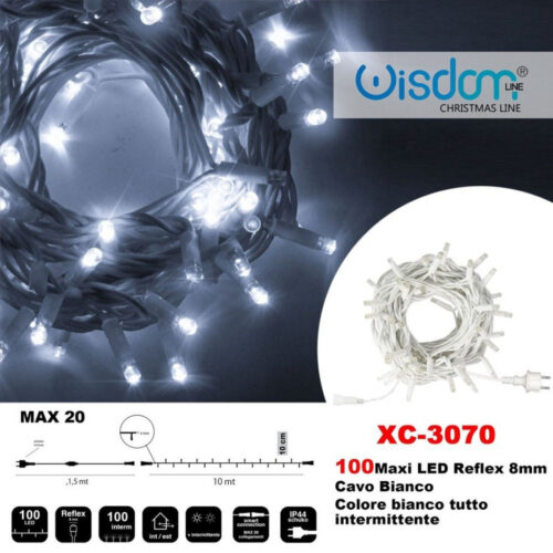 Catena Luminosa 100 Luci Led Lucciole Colore Bianco Tutto Intermittente Xc-3070