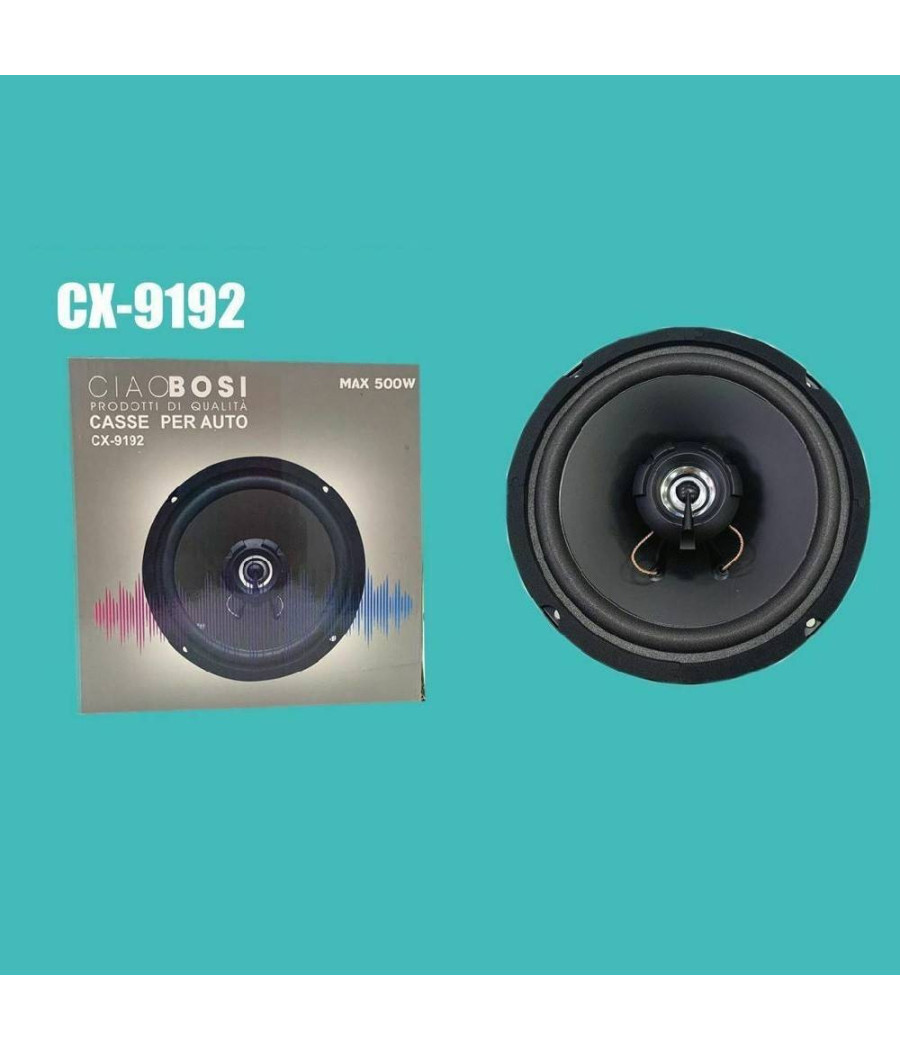 Cassa Singola Altoparlante Max 500 Watt Woofer Per Auto Cx-9192