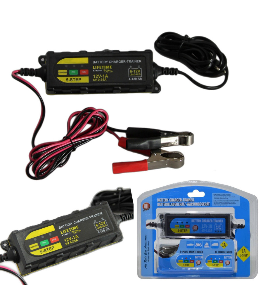 Mantenitore Di Carica Pinze Per Batteria Auto Moto 5 Fasi Emergenza 1a 12v