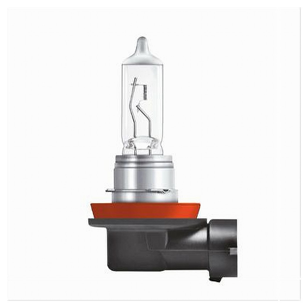 Lampadina Alogena H11 Luce Fendinebbia Bianco Caldo Auto Moto 12 V 55 W H11-gx02