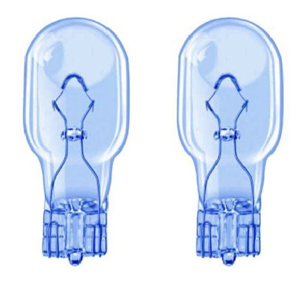 Lampadine Posizione T15 W16w 12v Auto 16w Luce Fredda Alogena No Canbus L-p134