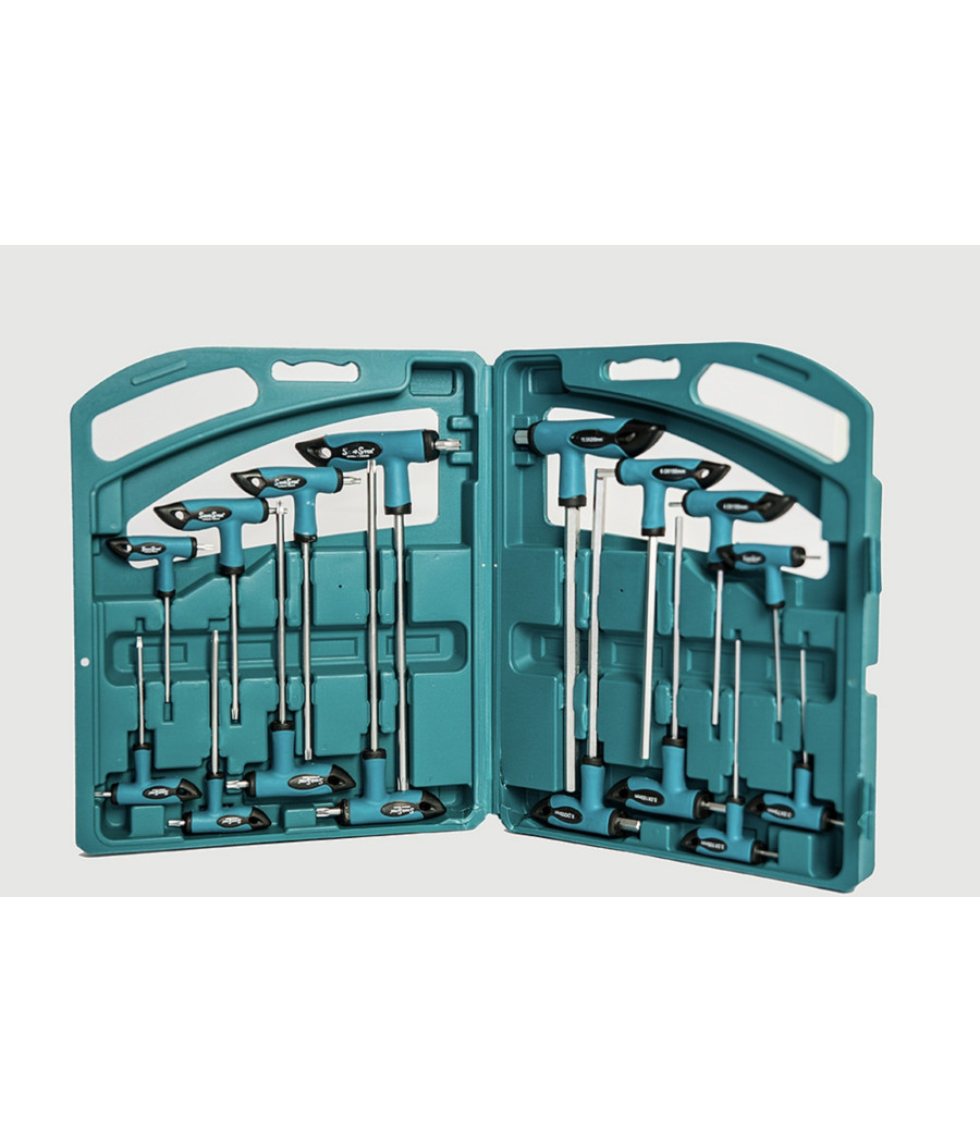 Set 16 Pz Chiavi Kit Chiave A T Esagonali E Torx Lunghe Valigetta Professionali - immagine 2