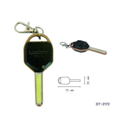 Set 2 Pezzi Mini Torcia Portachiavi Led Cob A Forma Di Chiave Portatile Dt-2172
